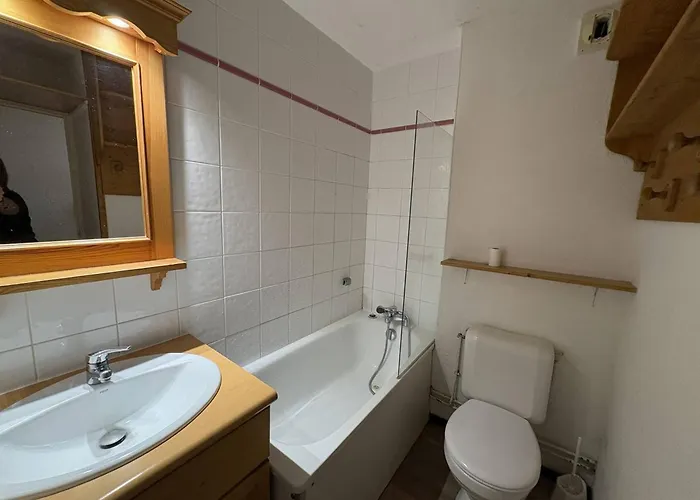 Apartamento 3 Pieces Au Pied Des Pistes, Balcon, 7 Personnes - Fr-1-351-61 La Plagne