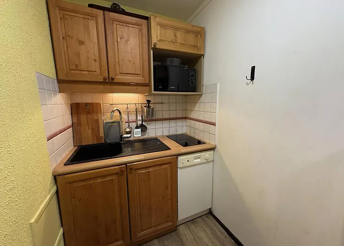 3 Pieces Au Pied Des Pistes, Balcon, 7 Personnes - Fr-1-351-61 Apartamento