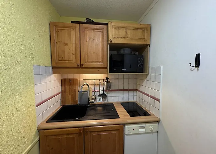 Daire 3 Pieces Au Pied Des Pistes, Balcon, 7 Personnes - Fr-1-351-61